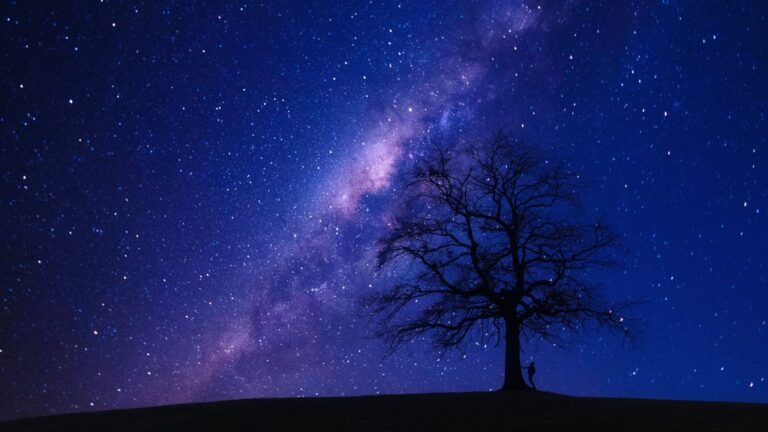 Tree in front of a galaxy